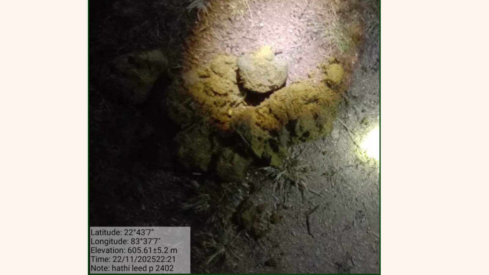 GPS-tagged elephant dung evidence — field verification of elephant movement corridor