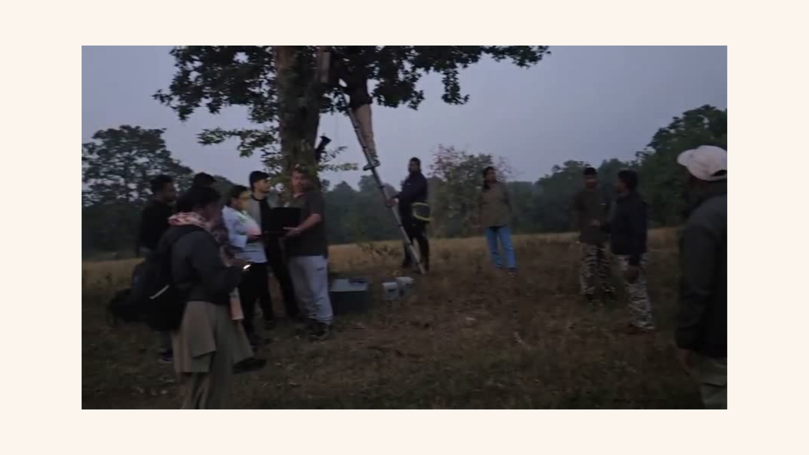 GAJ-DASTAK team installing detection unit on tree at dusk in Chhattisgarh forest