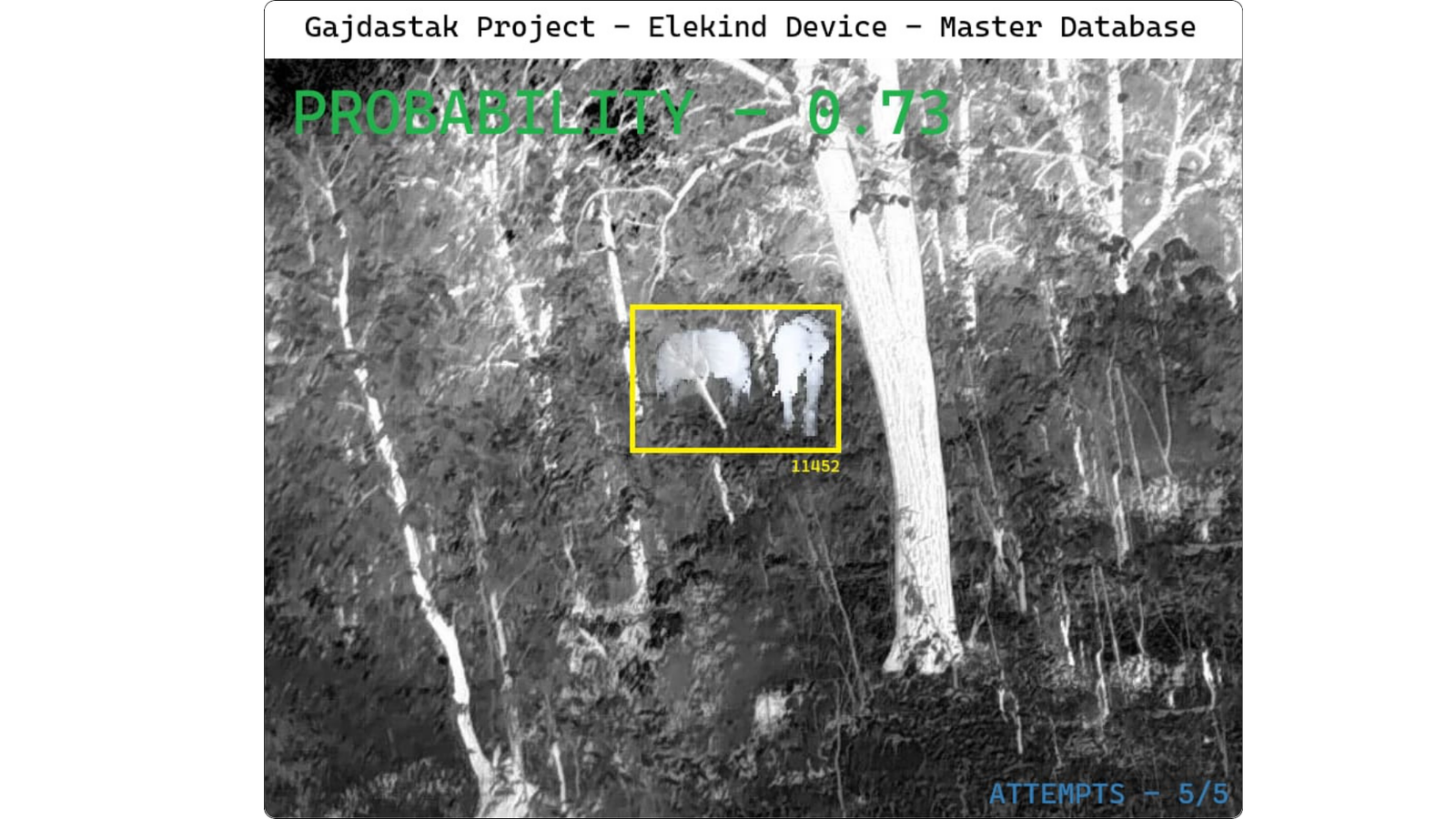 GAJ-DASTAK thermal detection output — AI identifying elephant with probability score overlay