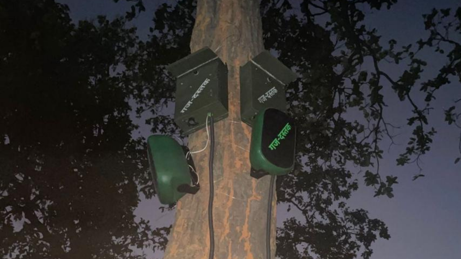 ELEKIND unit with dual acoustic deterrence speakers mounted on tree at dusk
