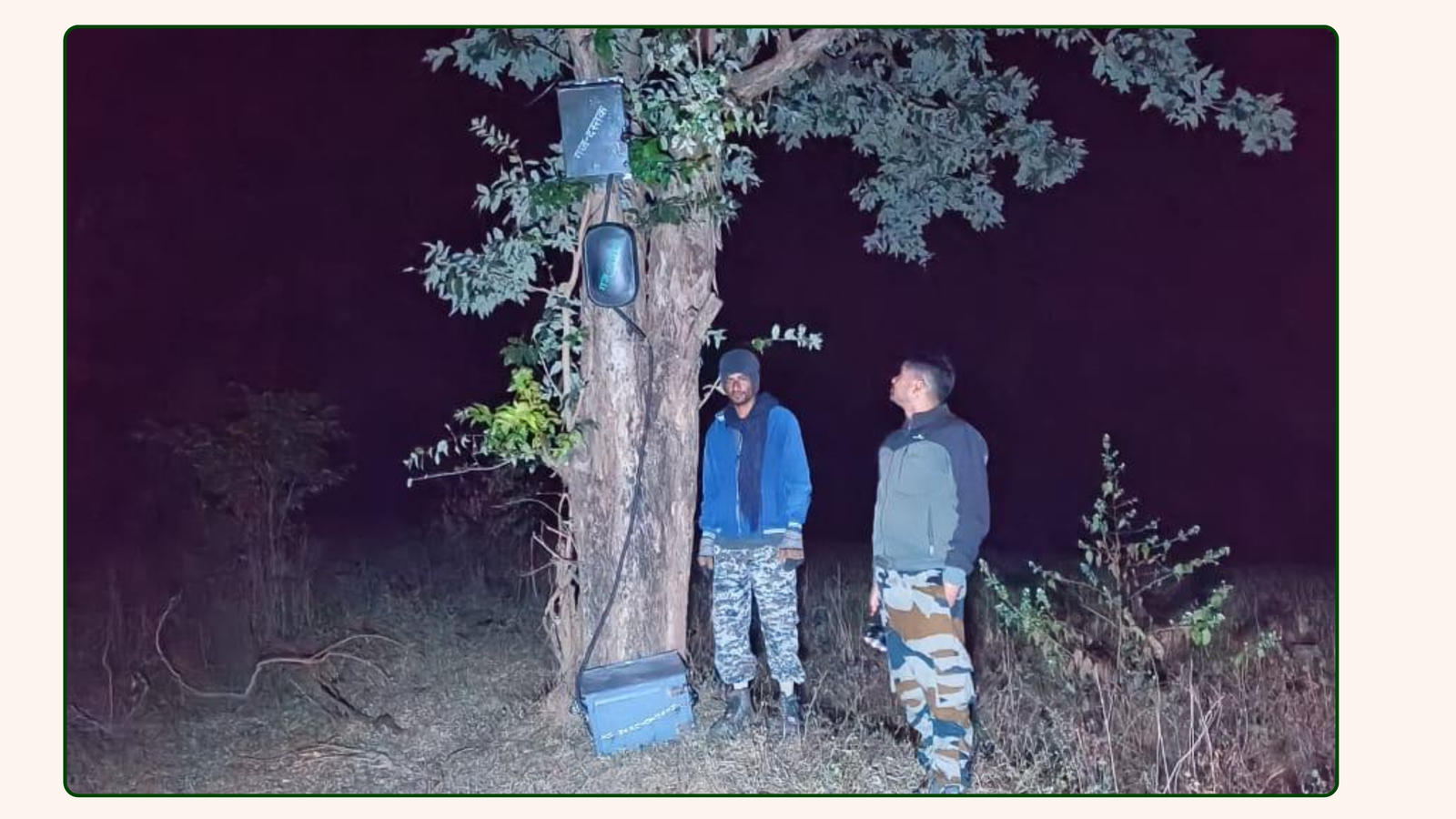 ELEKIND unit mounted on tree, active at night with indicator lights